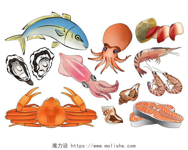 不同种类的日料海鲜元素海鲜插画